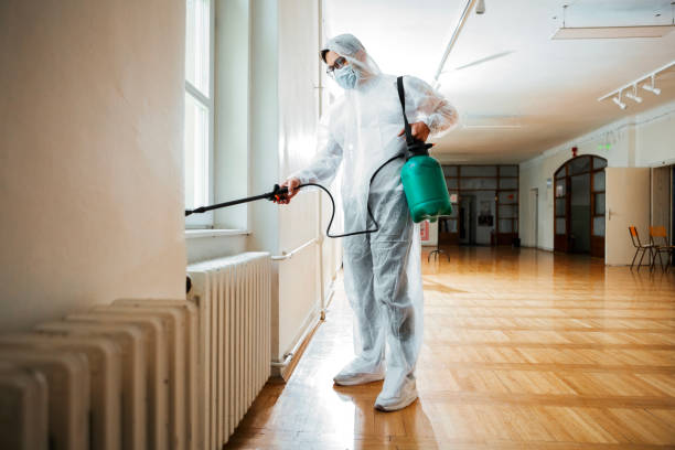 Best Mosquito Control Services  in Labelle, FL
